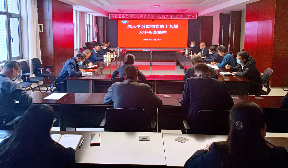 亚盛集团党委召开专题会议学习贯彻党的 十九届六中全会精神