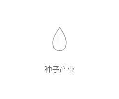 种子产业