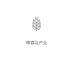 啤酒花产业