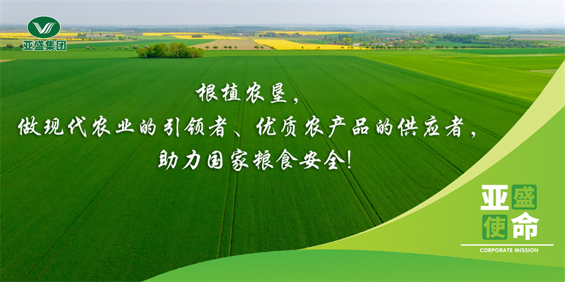 亚盛使命