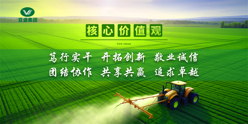 核心价值观