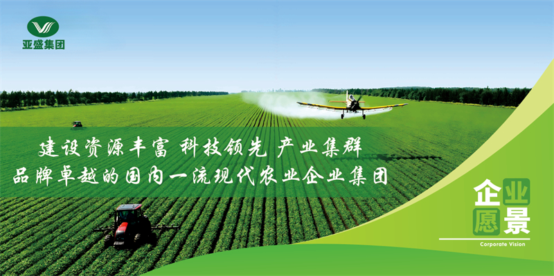 企业愿景