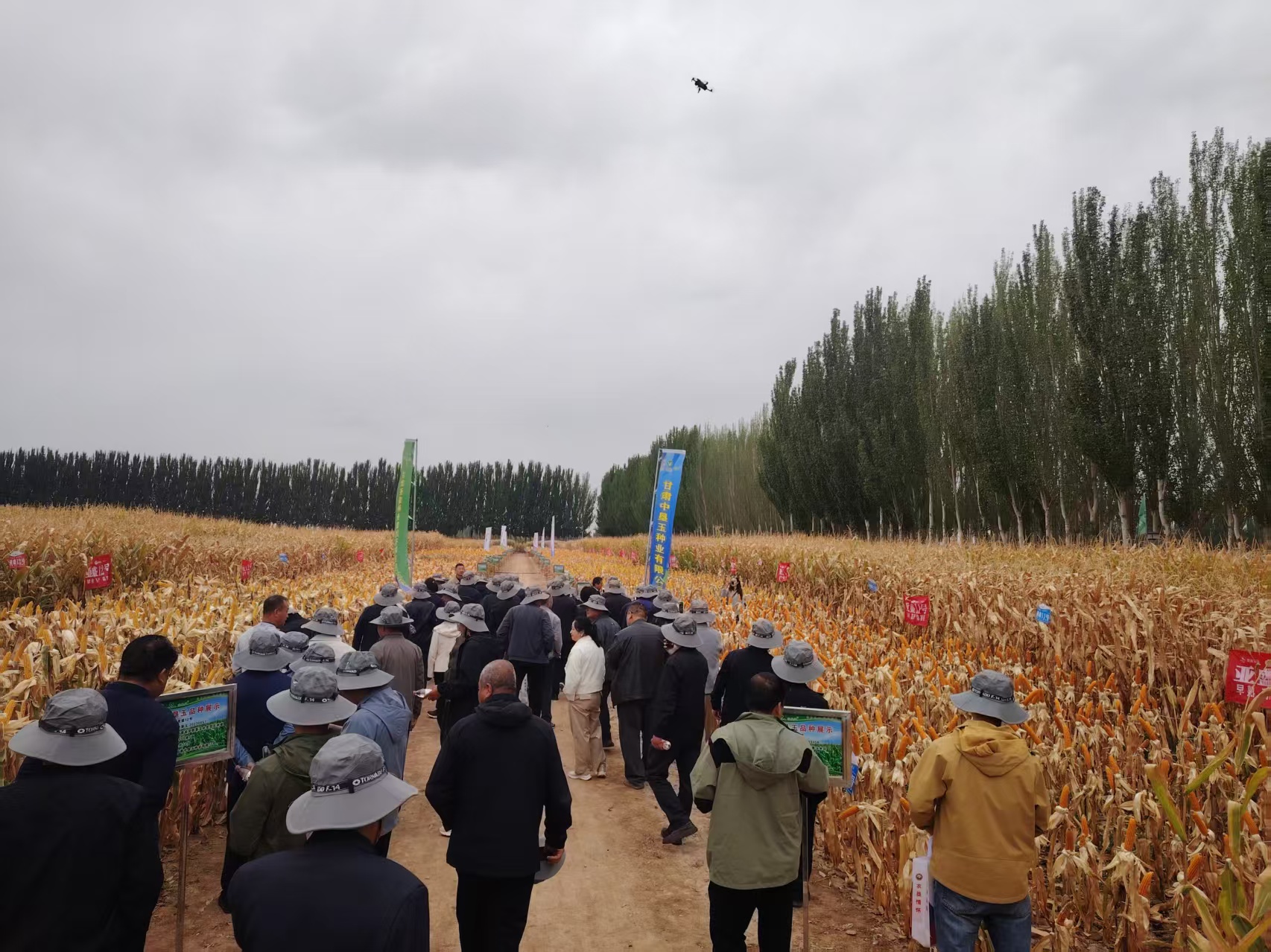 亚盛种业中垦玉公司成功举办2026-2027年度西北核心经销商峰会暨市场启动会