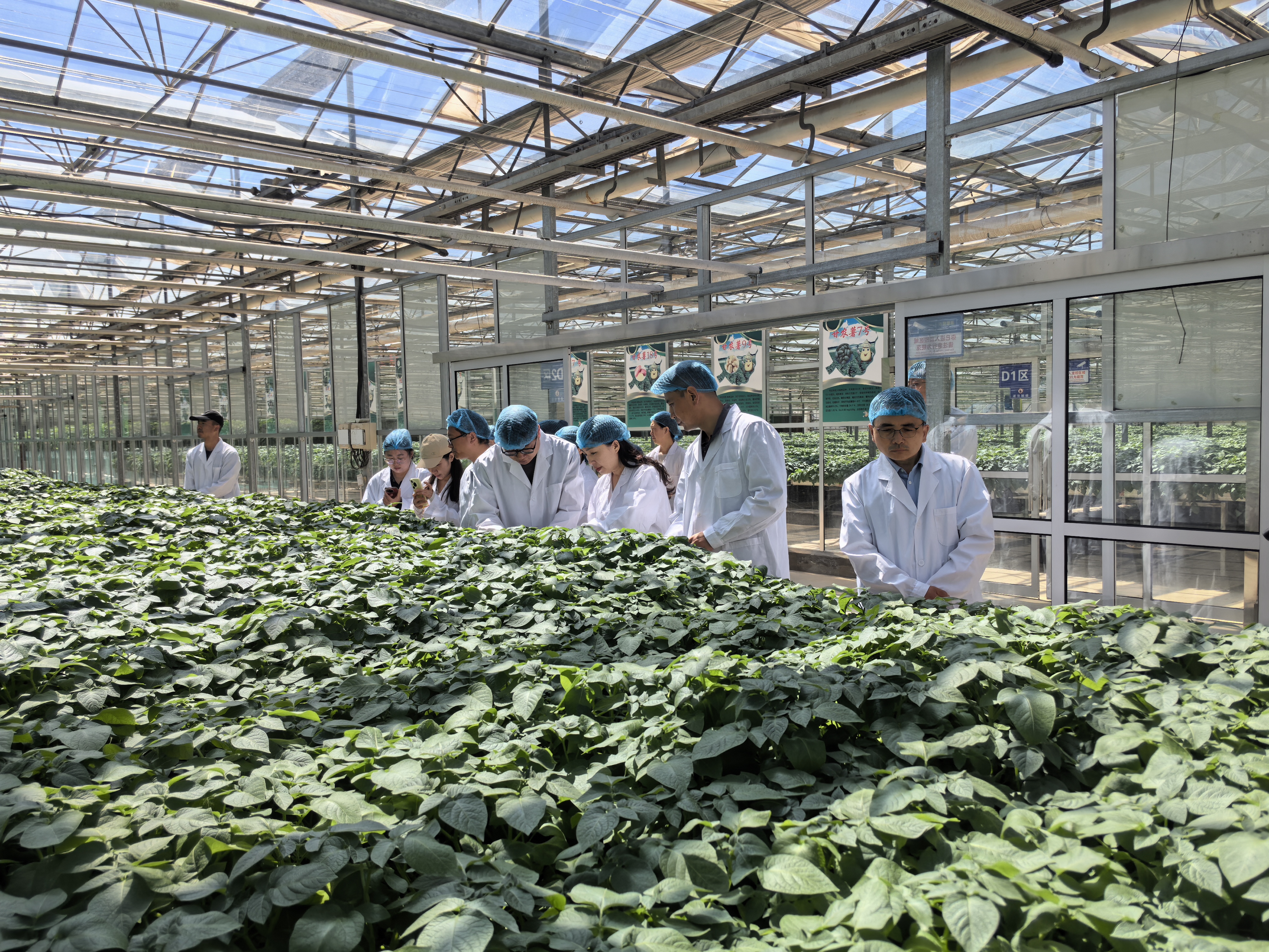 亚盛农业研究院与省农业农村厅计划财务处党支部开展联学共建主题党日活动